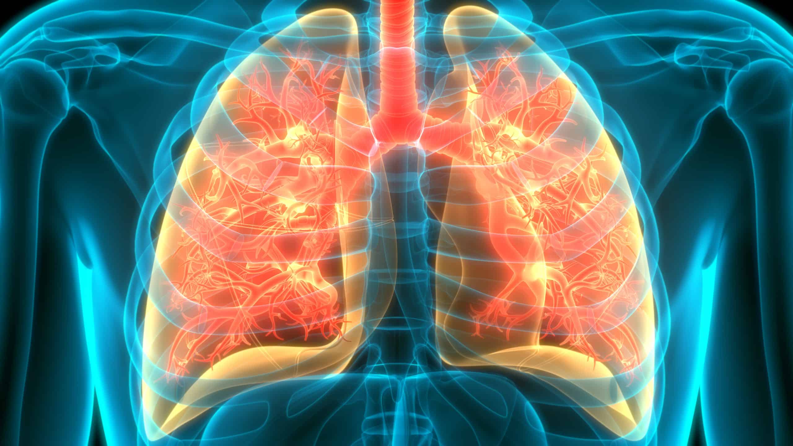 Lung deposition of inhaled extra fine beclomethasone dipropionate/formoterol fumarate/glycopyrronium bromide in healthy volunteers and asthma: The STORM study