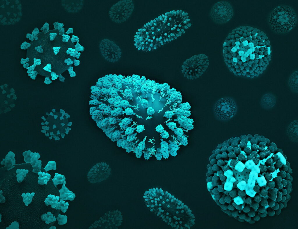 Close up of diseases