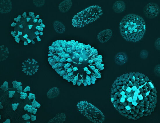 Close up of diseases