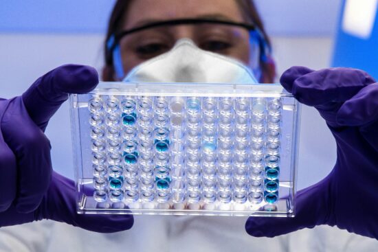 Scientist observes serological test samples